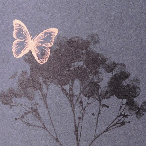 Nahaufnahme Hortensie mit Schmetterling, Beileidskarte Wiederauferstehung